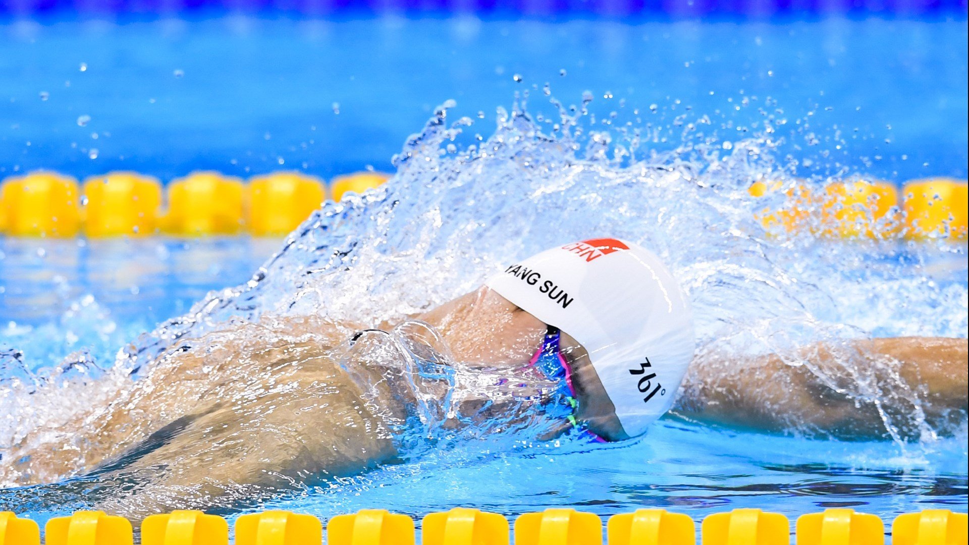 南非羚羊队的反击战术：他们每次进攻都打得精准而犀利，南非大羚羊主要分布哪里